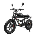 DUOTTS F20 Electric Bike - 750W Motors 52V 27AH Battery with Hydraulic Disc Brakes - Black